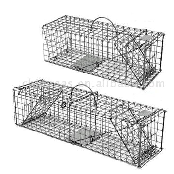 Rental store for trap animal 19x7x7 squirrel in Eastern Oregon