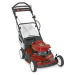 Rental store for mower lawn 22 inch gas in Eastern Oregon