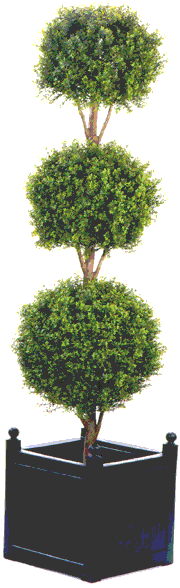 Where to find topiary triple ball set of 2 in La Grande