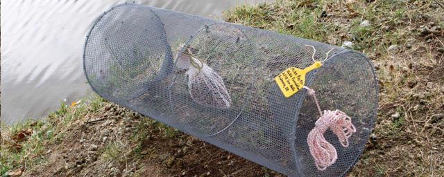 Rental store for trap animal round in Eastern Oregon