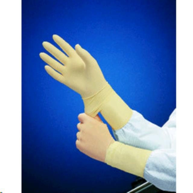 Rental store for Gloves Latex 12  Size 7 in Baker City OR