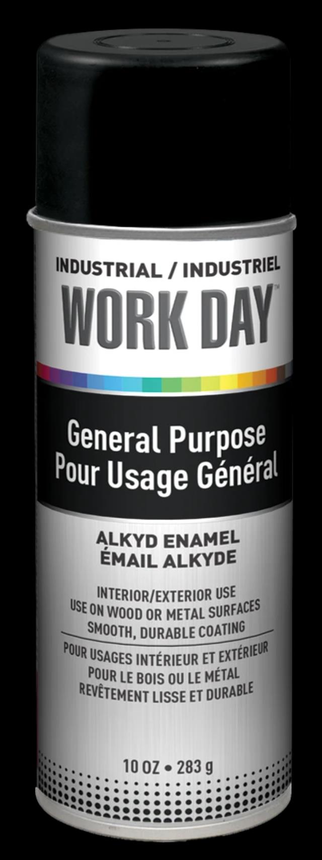 Rental store for Krylon Black Gloss Work Day SB in Baker City OR
