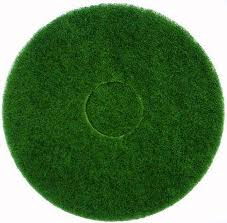 Rental store for Polisher Pad 13  Green in Baker City OR