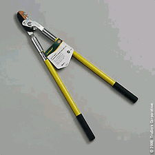 Rental store for Shears Lopers in Baker City OR