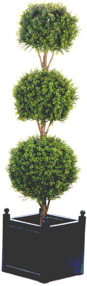 Rental store for Topiary Triple Ball Set of 2 in Baker City OR