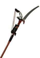 Rental store for SAW PRUNING   CLIPPER 10  POLE in Baker City OR